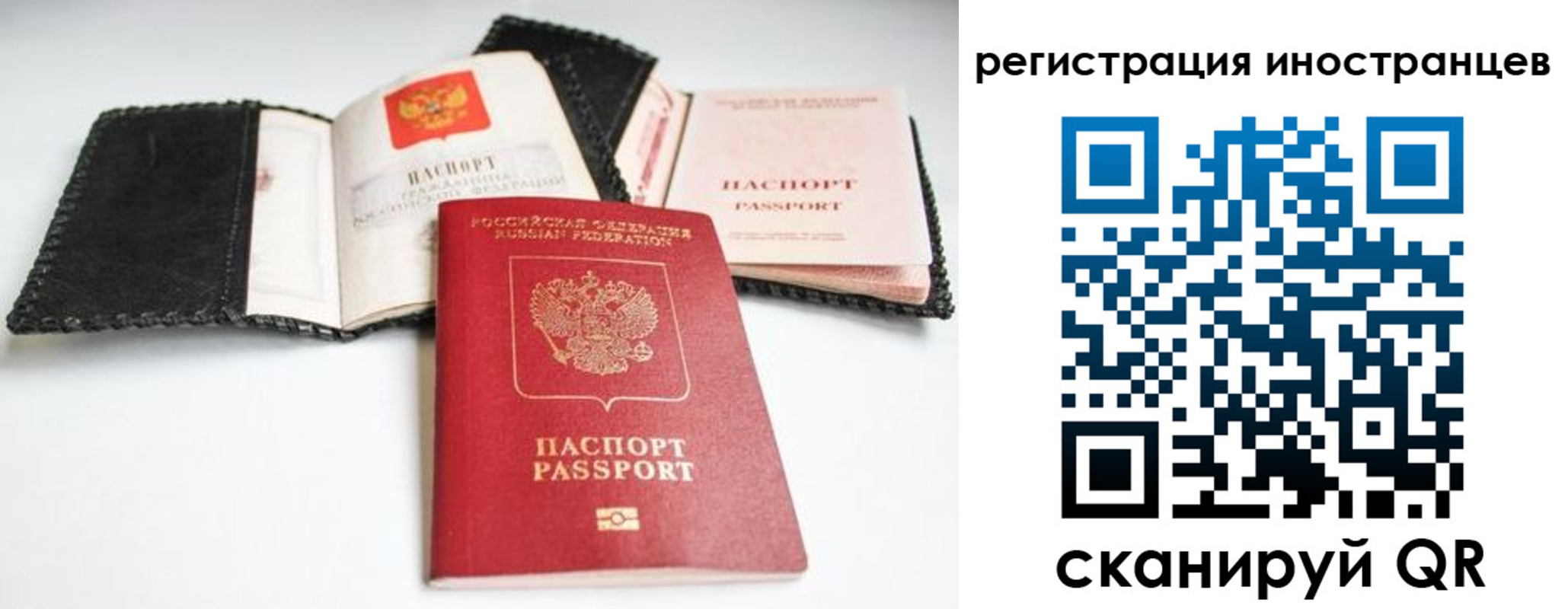 прописка гарантия в Светогорске
